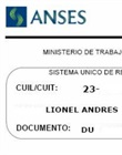 Constancia de CUIL (si no consta en DNI o licencia)